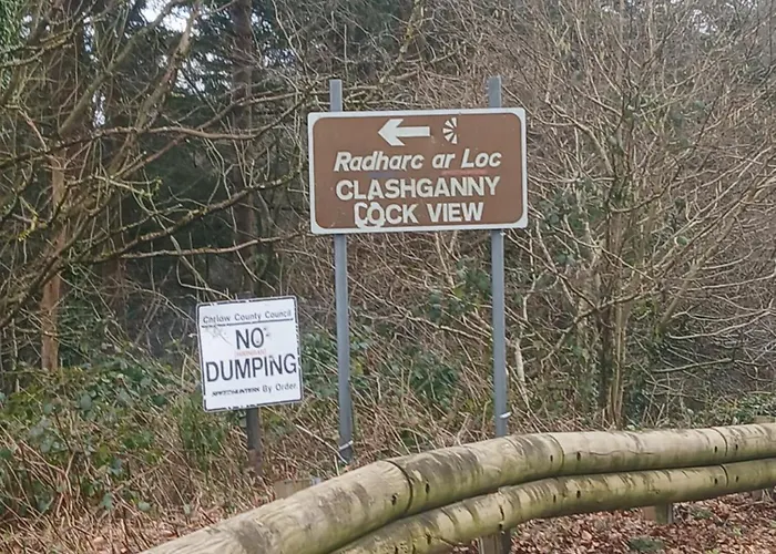 St Mullins Camping