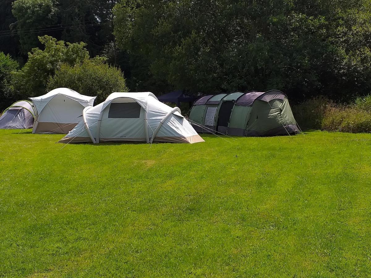 Campsite St Mullins Camping