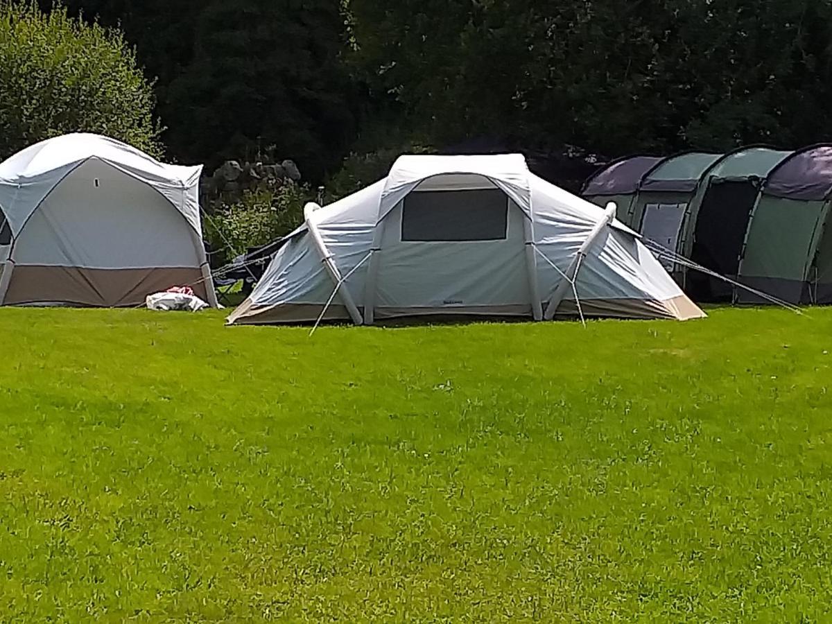 St Mullins Camping Camping St Mullins