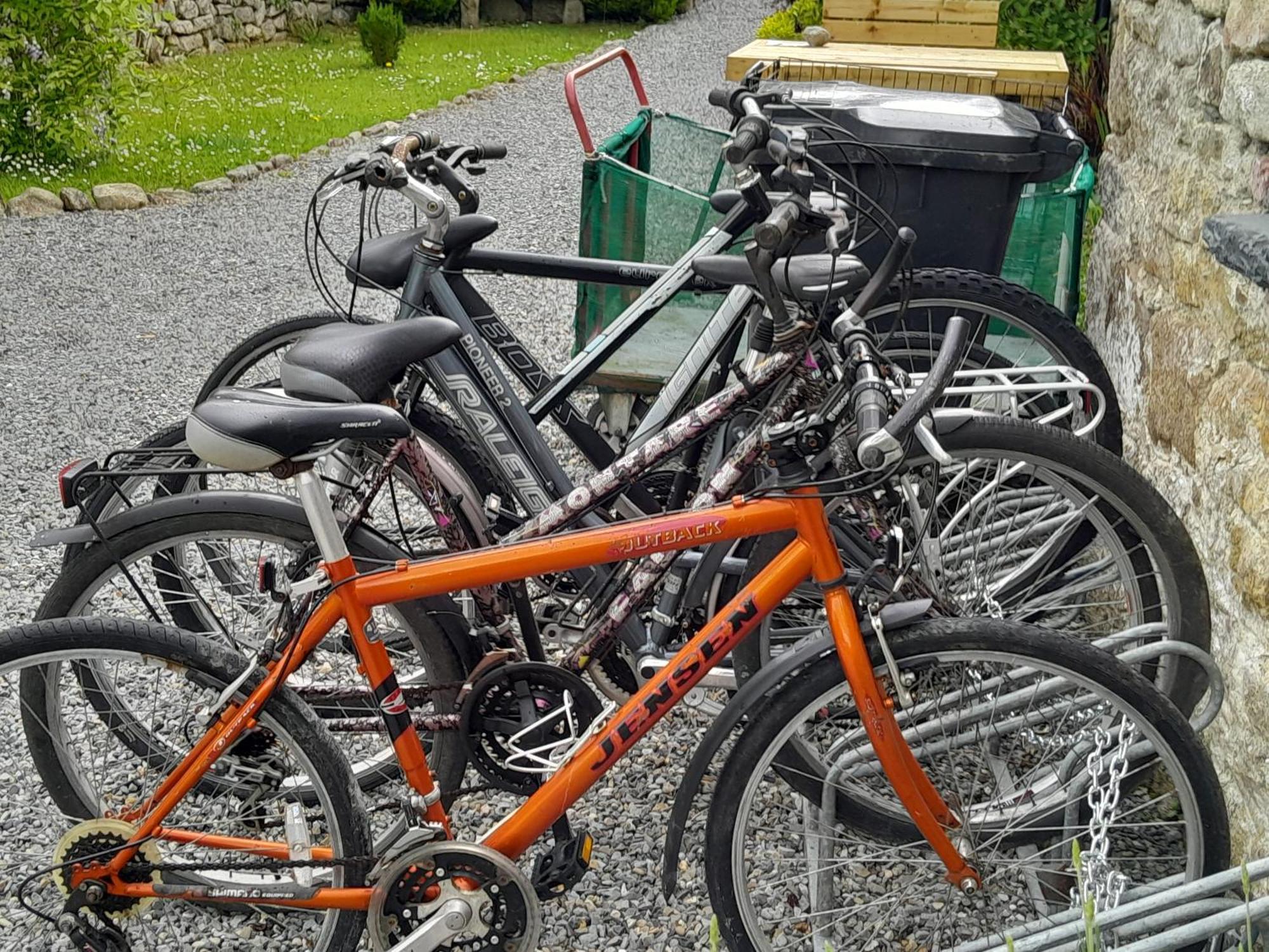 St Mullins Camping *
