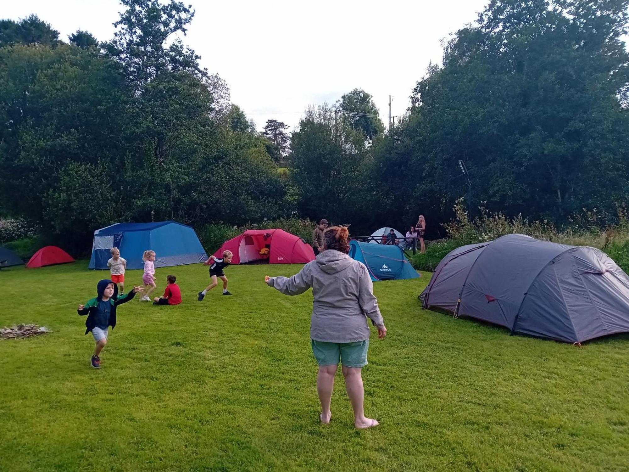 St Mullins Camping * St Mullins