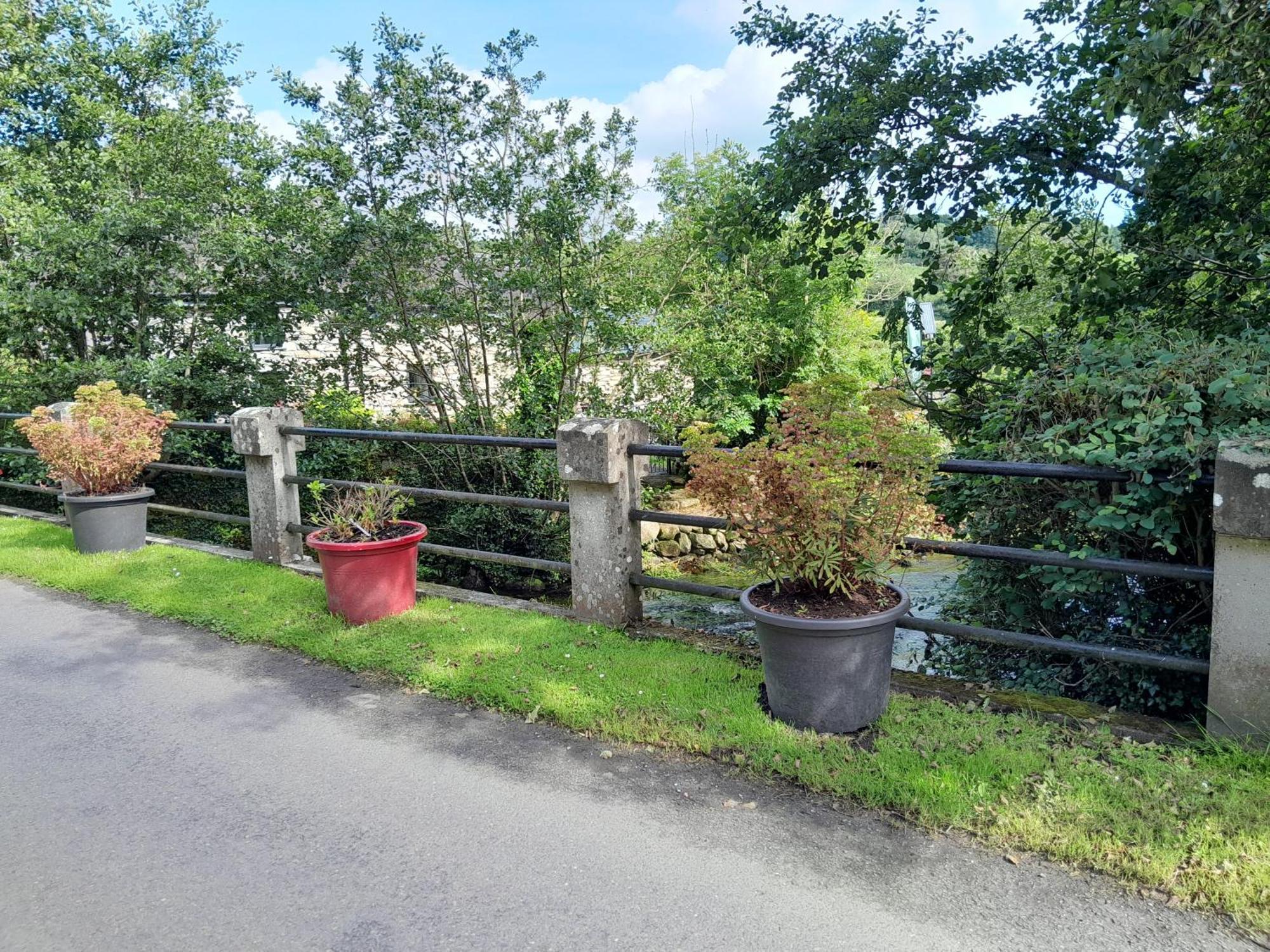 St Mullins Camping