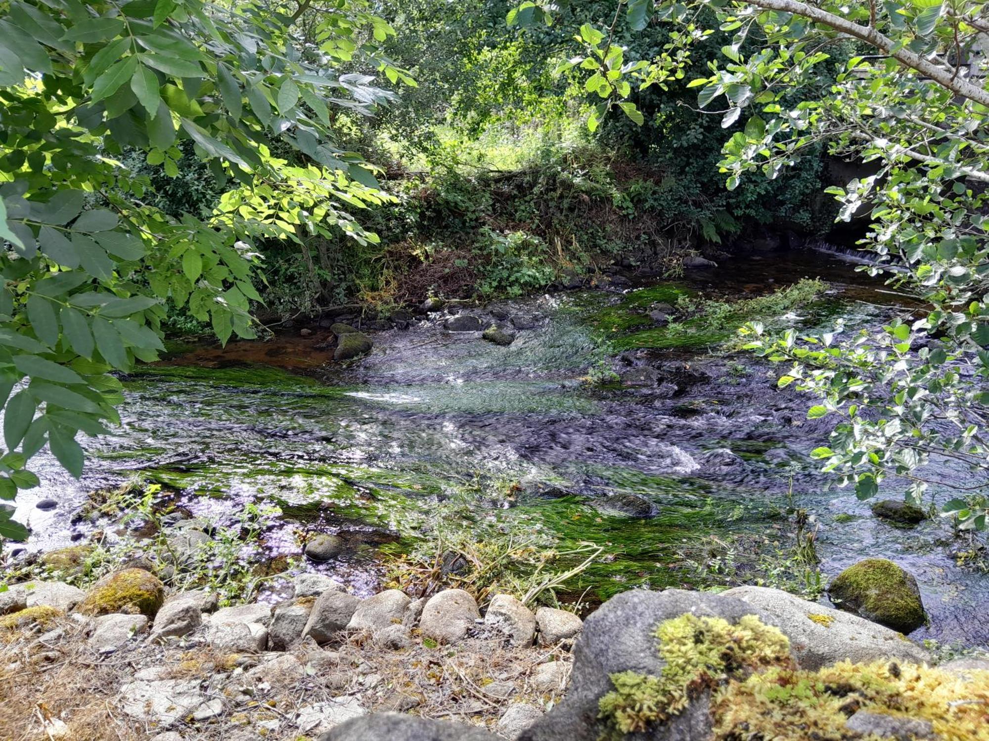 St Mullins Camping Campeggio *